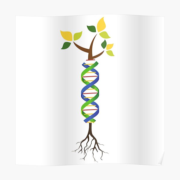 Illustration of a DNA helix growing as a tree, representing family genetics